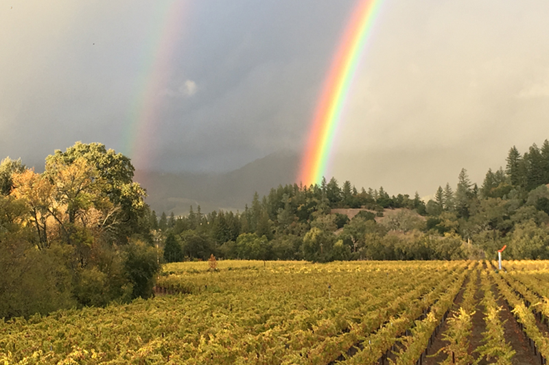 Grable Vineyards Double Rainbow